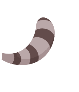 Raccoon tail decoration
